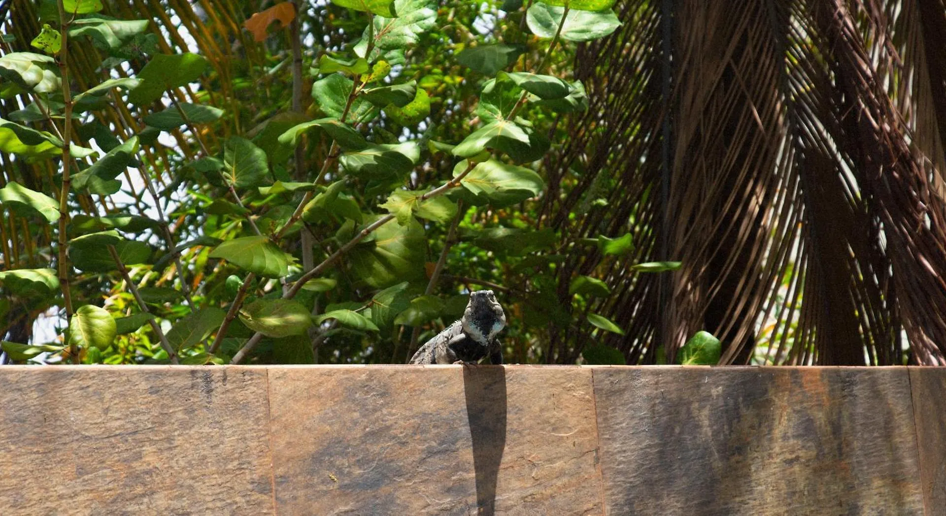 Nina Hotel Playa Del Carmen